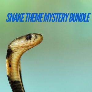 🐍 Awesome 5 Items Serpent Snake Theme Mystery Jewelry Bundle 🎁